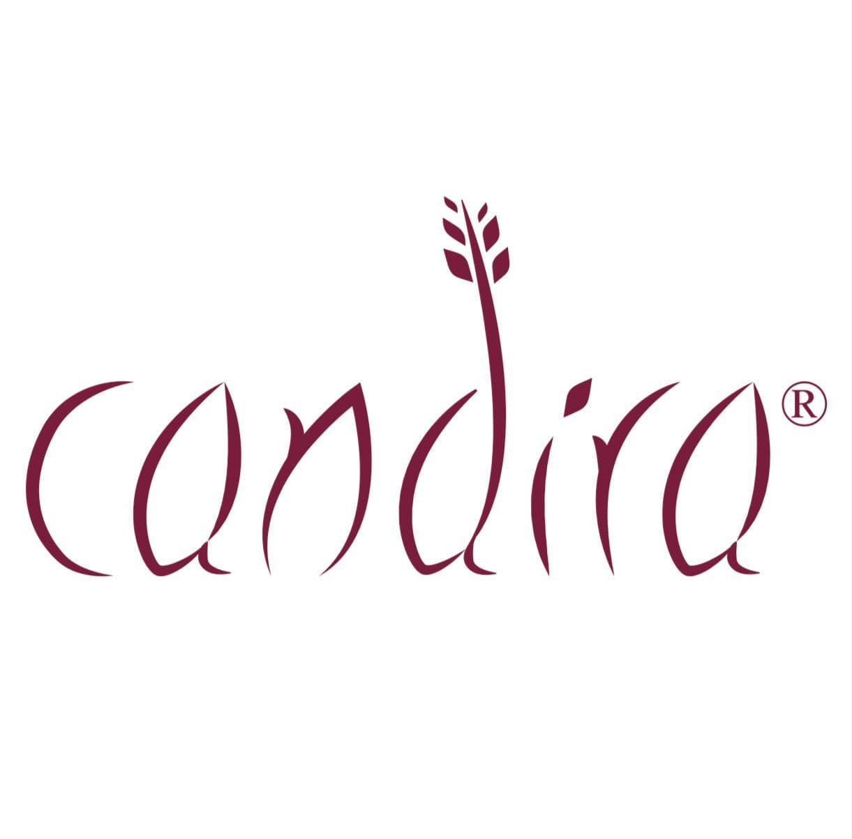 شعار شركة كانديرا 